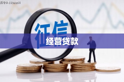 岳阳楼经营贷款