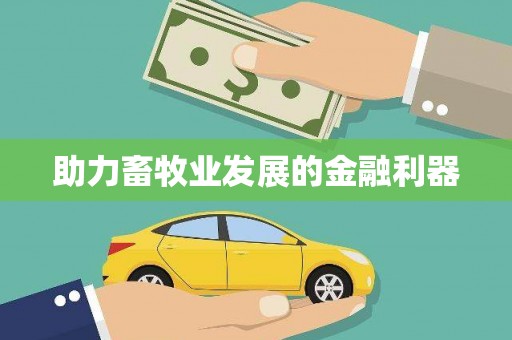 阳谷助力畜牧业发展的金融利器