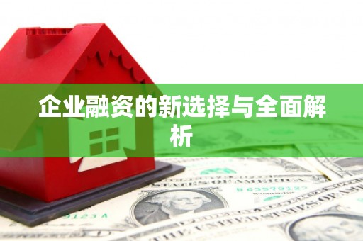 张湾企业融资的新选择与全面解析