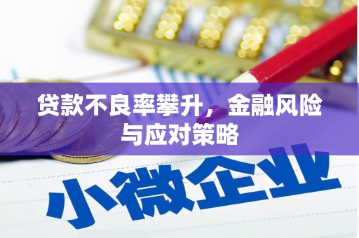 铜仁贷款不良率攀升，金融风险与应对策略